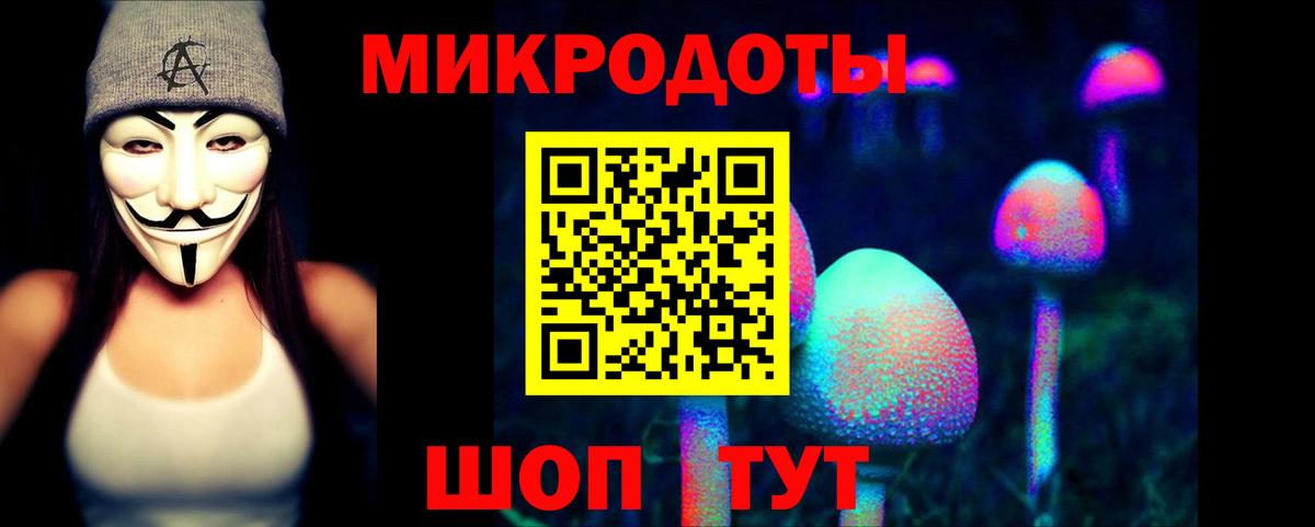 Галлюциногенные грибы Psilocybine cubensis Кировск